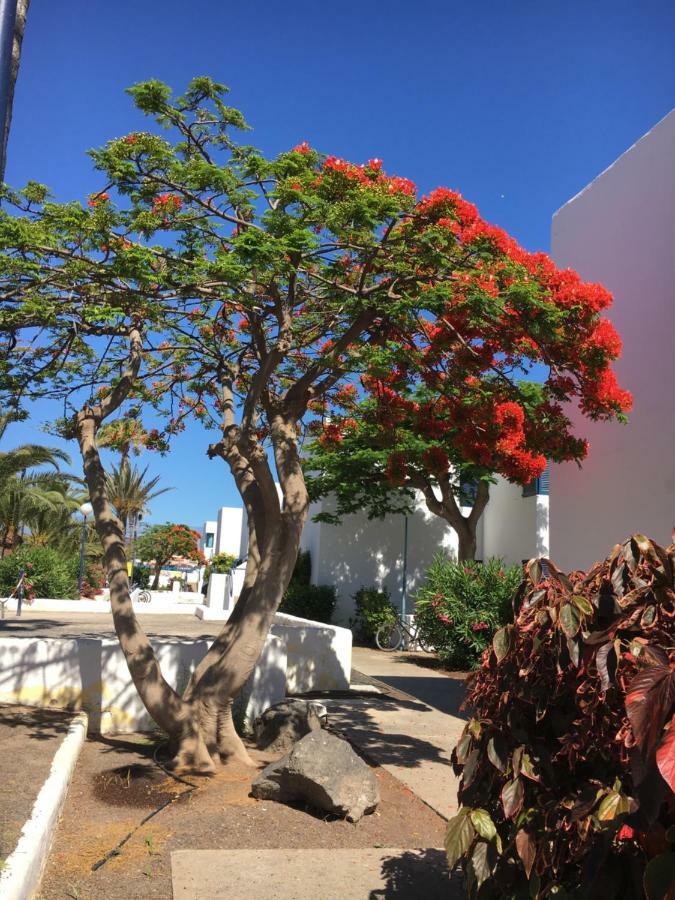 Appartamento Los Barqueros Corralejo "Beach Front - Town Centre" Esterno foto